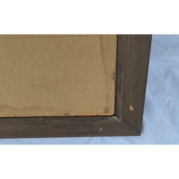 Vintage Frame Mirror Mappe Monde Du Globe World Map by Jan Barend Elwe 23 x 28 - Picture 16 of 16